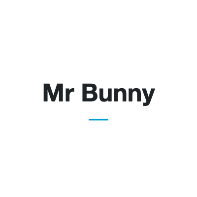 Mr Bunny